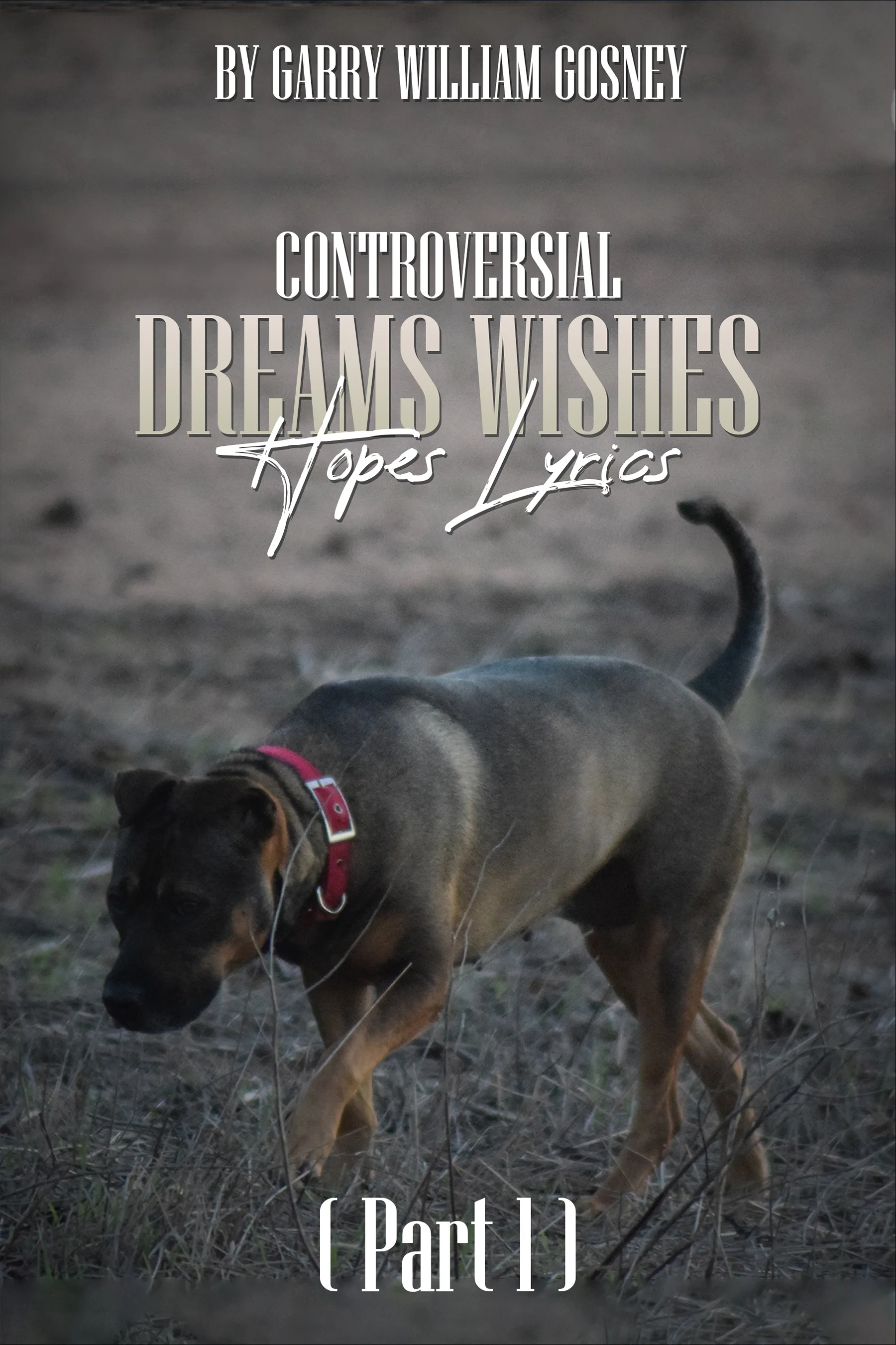 Controversial Dreams Wishes Hopes Lyrics Part 1